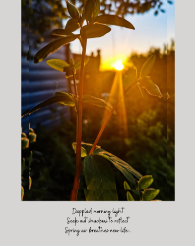 Sunrise and flowers with poem, mounted print