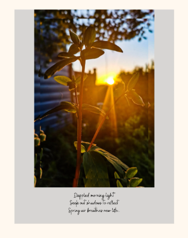 Sunrise and flowers with poem, mounted print